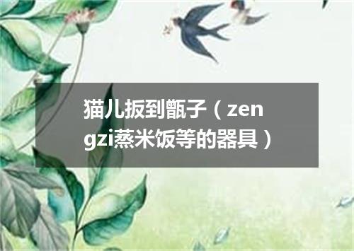 猫儿扳到甑子（zen gzi蒸米饭等的器具）