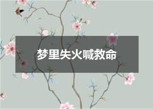 梦里失火喊救命