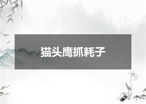猫头鹰抓耗子