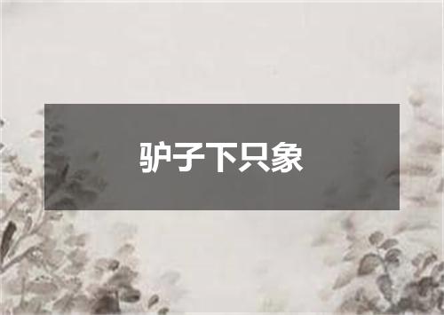 驴子下只象