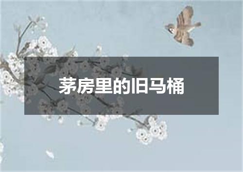 茅房里的旧马桶