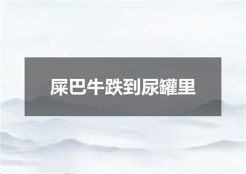 屎巴牛跌到尿罐里