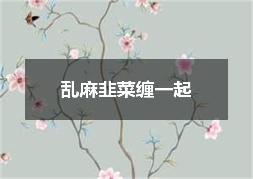 乱麻韭菜缠一起