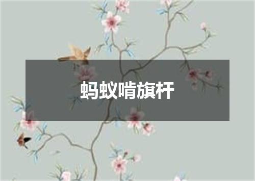 蚂蚁啃旗杆