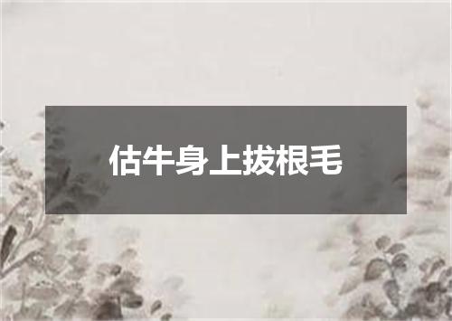 估牛身上拔根毛
