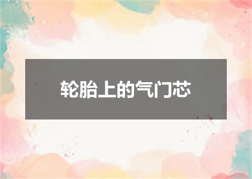 轮胎上的气门芯