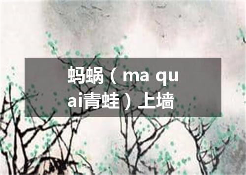 蚂蜗（ma quai青蛙）上墙