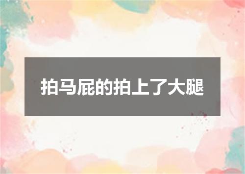 拍马屁的拍上了大腿