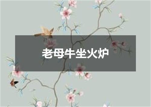 老母牛坐火炉