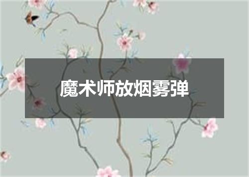 魔术师放烟雾弹
