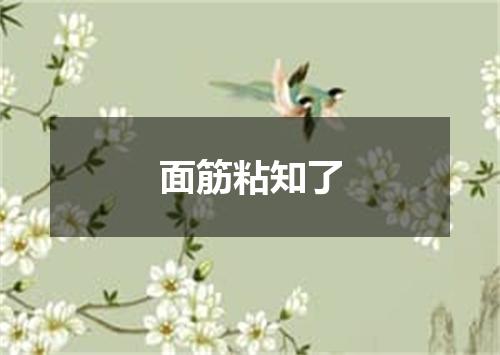 面筋粘知了
