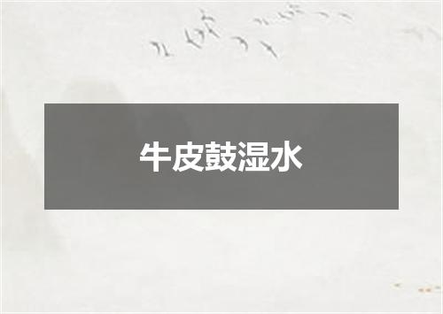 牛皮鼓湿水