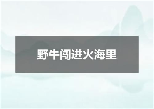 野牛闯进火海里