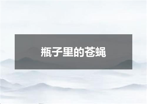 瓶子里的苍蝇