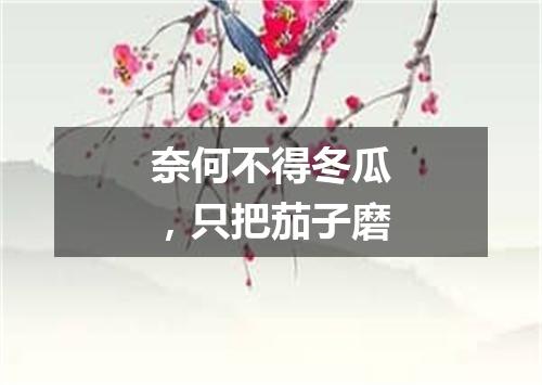 奈何不得冬瓜，只把茄子磨