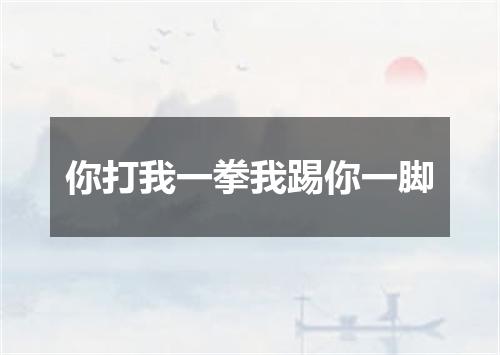 你打我一拳我踢你一脚