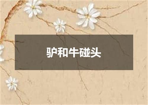 驴和牛碰头