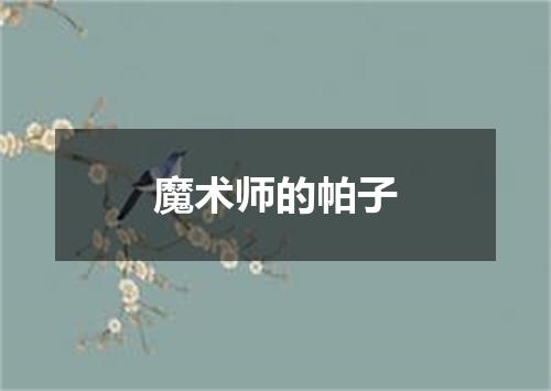魔术师的帕子