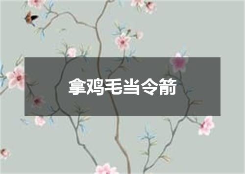 拿鸡毛当令箭