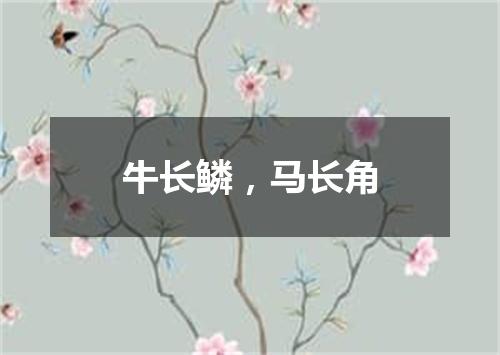 牛长鳞，马长角