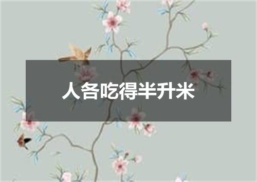 人各吃得半升米
