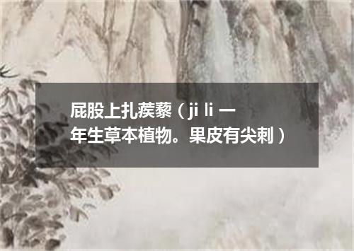 屁股上扎蒺藜（ji li 一年生草本植物。果皮有尖刺）