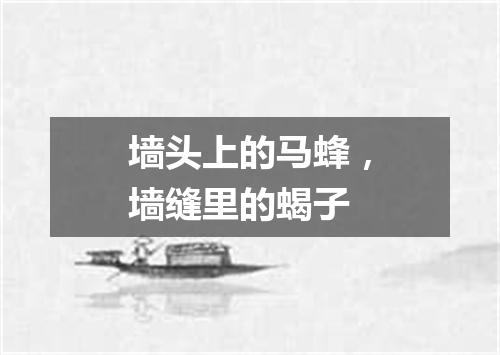 墙头上的马蜂，墙缝里的蝎子