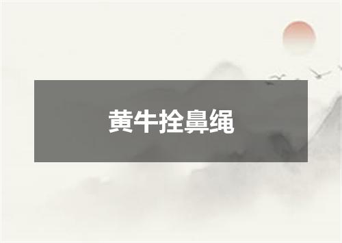 黄牛拴鼻绳