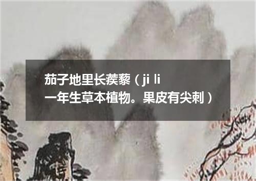 茄子地里长蒺藜（ji li 一年生草本植物。果皮有尖刺）