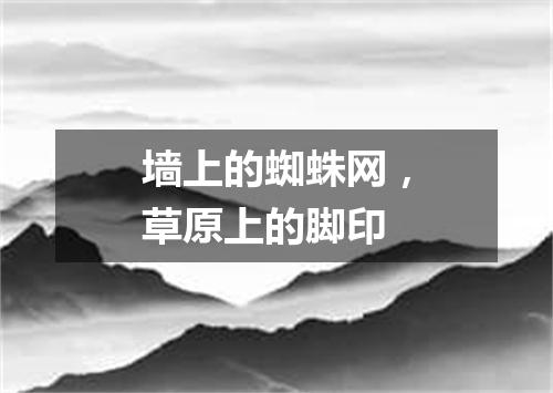 墙上的蜘蛛网，草原上的脚印