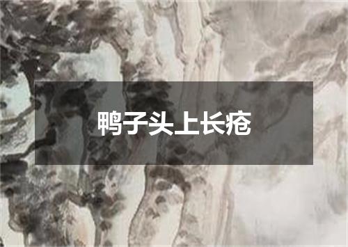 鸭子头上长疮