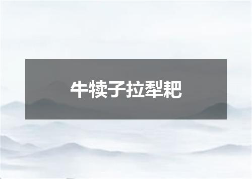 牛犊子拉犁耙