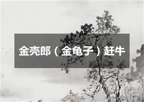 金壳郎（金龟子）赶牛