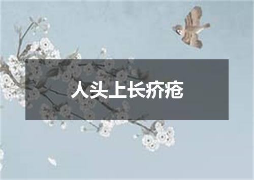 人头上长疥疮