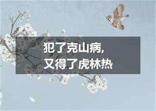 犯了克山病,又得了虎林热