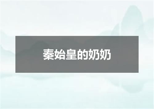 秦始皇的奶奶