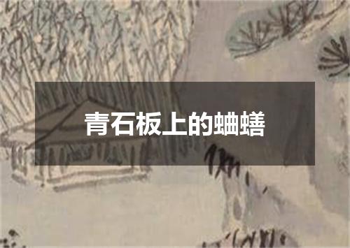青石板上的蛐蟮