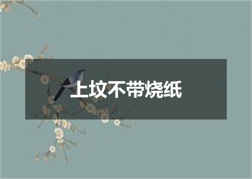 上坟不带烧纸