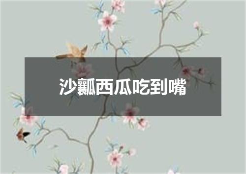 沙瓤西瓜吃到嘴