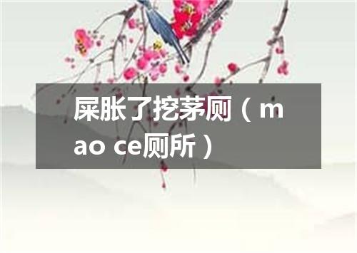 屎胀了挖茅厕（mao ce厕所）