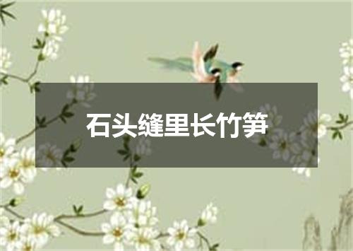 石头缝里长竹笋