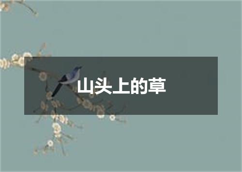 山头上的草
