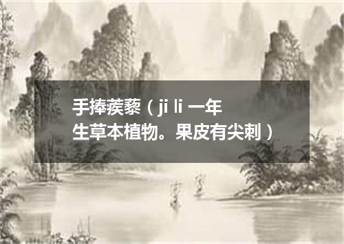 手捧蒺藜（ji li 一年生草本植物。果皮有尖刺）
