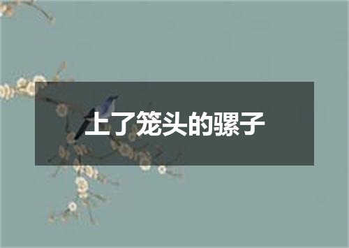 上了笼头的骡子