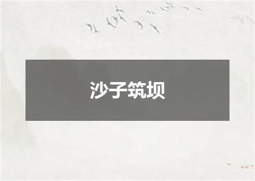 沙子筑坝