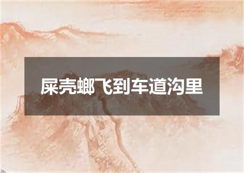 屎壳螂飞到车道沟里
