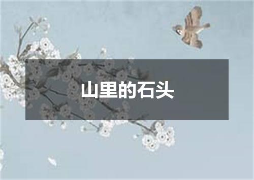 山里的石头