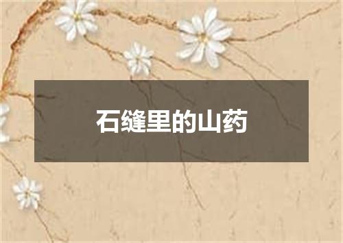 石缝里的山药