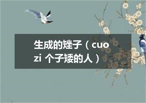 生成的矬子（cuo zi 个子矮的人）