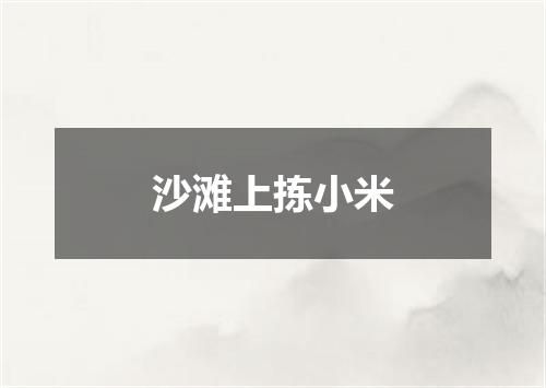 沙滩上拣小米